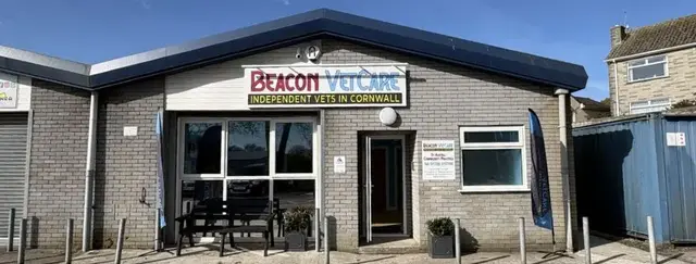 Beacon VetCare - Newquay practice photo