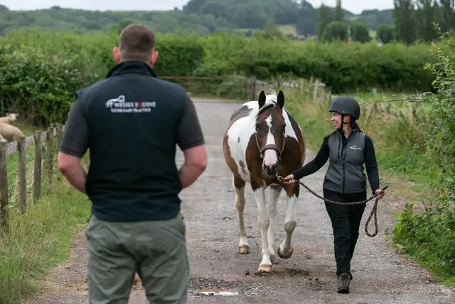 Wessex Equine Veterinary Practice practice photo 2