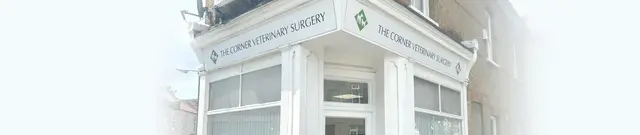 The Corner Veterinary Surgery practice photo
