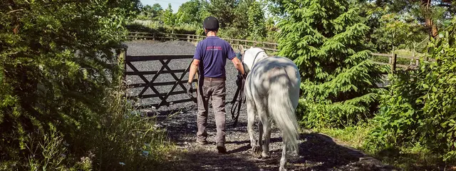 Agnew Equine practice photo 3