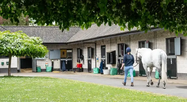 Rossdales Veterinary Surgeons - Equine Hospital & Diagnostic Centre practice photo