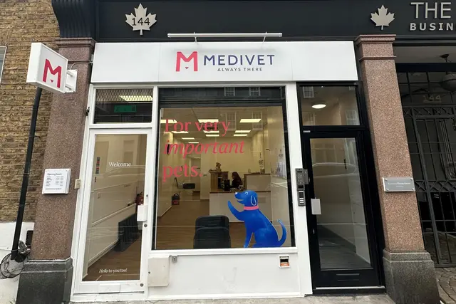 Medivet - Islington Liverpool Road practice photo