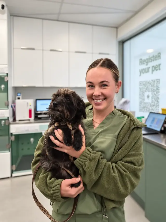 Olivia, Head Veterinary Nurse