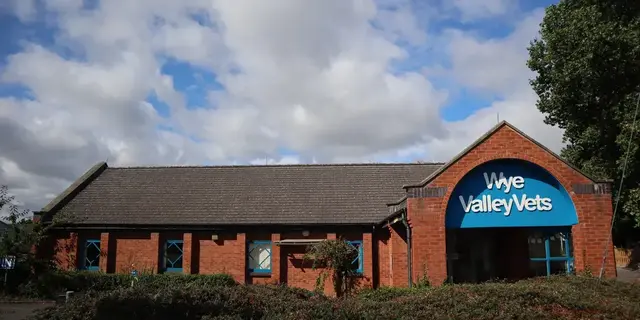 Wye Valley Vets practice photo
