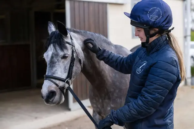 Corner House Equine Clinic - Ullenhall practice photo