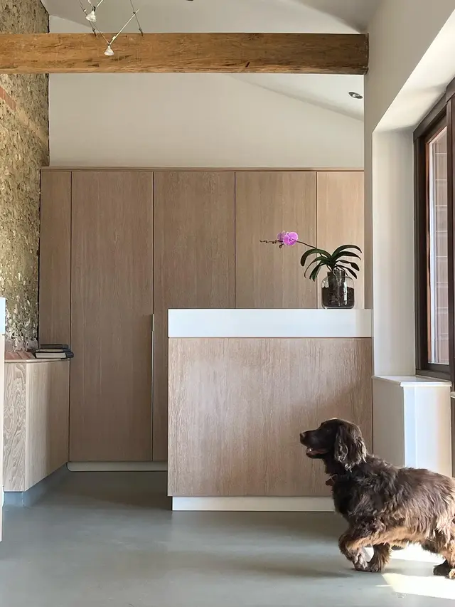 A brown dog walking in a modern room with wooden cabinets, a white countertop, a pink orchid in a glass vase, and large windows letting in natural light.