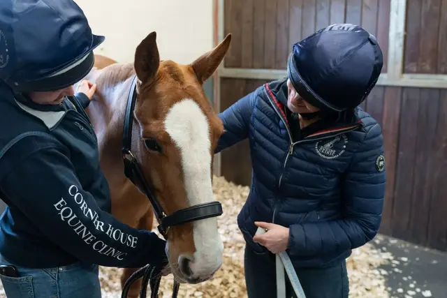 Corner House Equine Clinic - Ullenhall practice photo 3