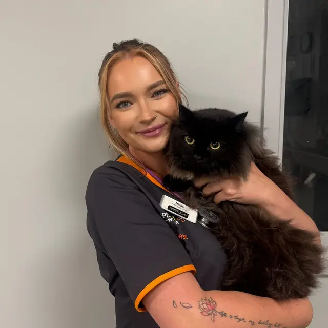 The Pet Vet - Southampton practice photo 2