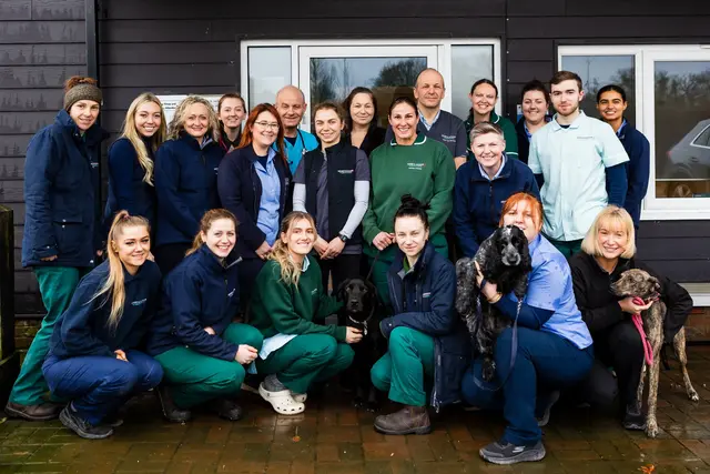 House and Jackson Veterinary Hospital practice photo 2