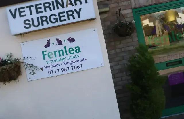 Emergency vets on hand to help