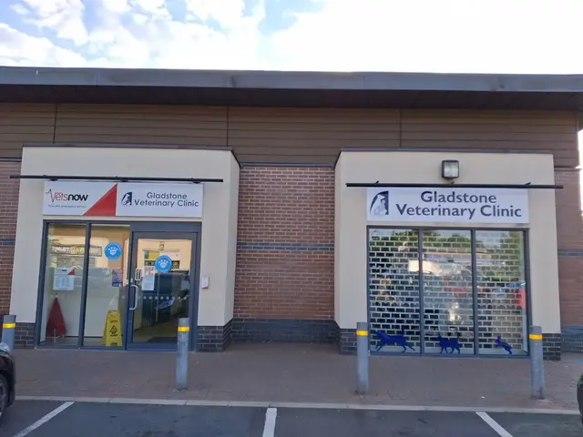 Exterior of Gladstone Veterinary Clinic in Telford showing the main entrance with Vets Now signage and a secondary window display.