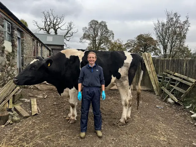 Endrick Vets practice photo