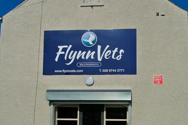 Flynn Vets - Ballynahinch practice photo