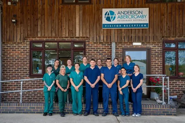 Anderson Abercromby Veterinary Referrals (Web) 045