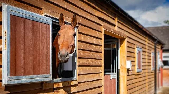 Lower House Equine Clinic practice photo 2