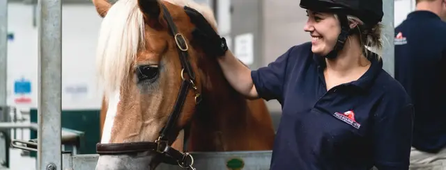 Field Equine Vets practice photo