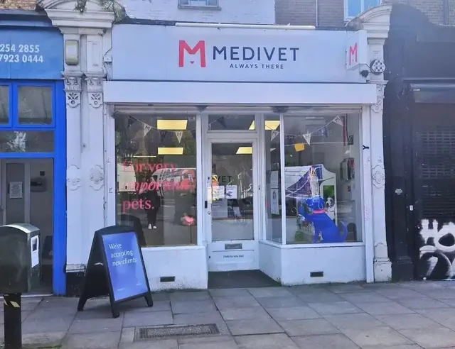 Medivet - Dalston practice photo