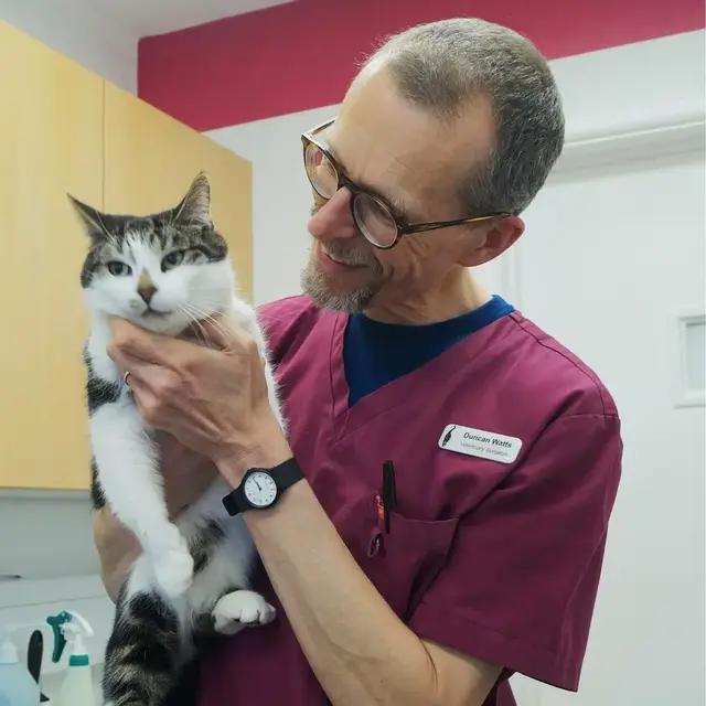 Six month health check. Oxford Cat Clinic, Botley & Marston.