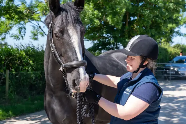 Phoenix Equine - Exeter practice photo 2