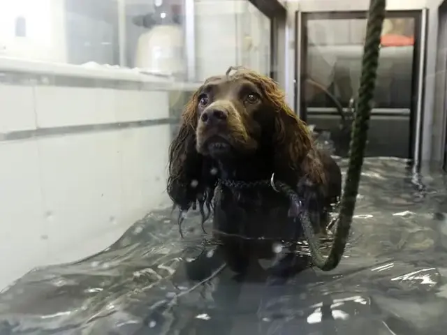 PHYSIOTHERAPY / HYDROTHERAPY