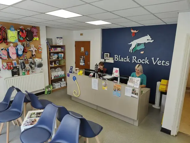 Black Rock Vets practice photo
