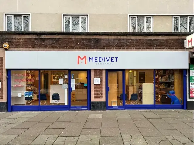 Medivet - Canonbury practice photo