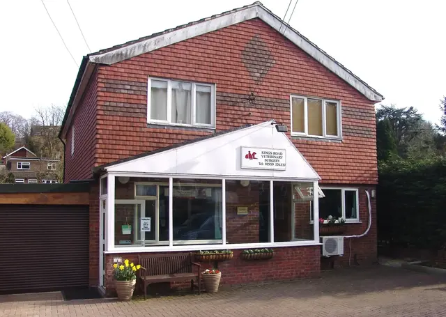 Kings Road Veterinary Surgery practice photo