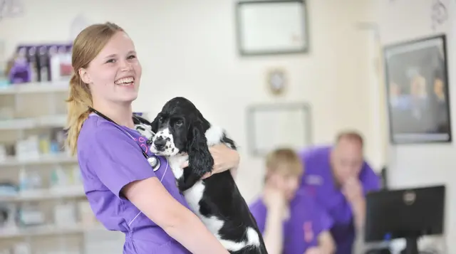 Hythe Vet Centre practice photo