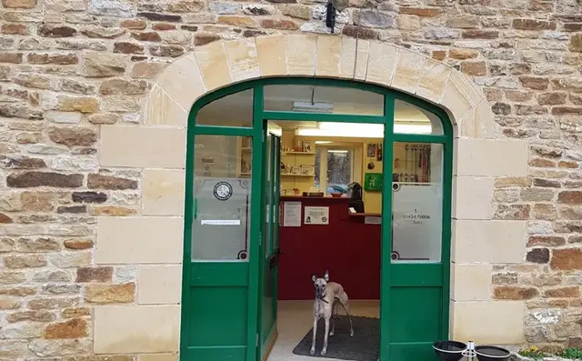 Allendale Surgery