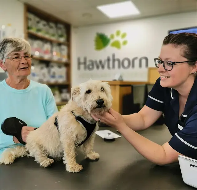 Hawthorn Vets