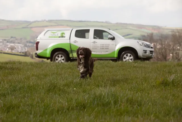 The Vale Veterinary Group - Cullompton practice photo