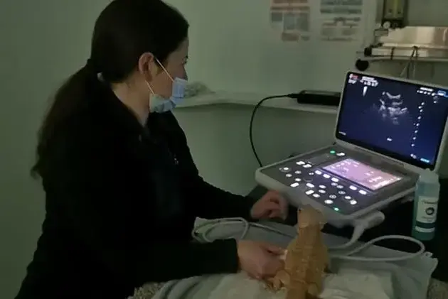 Medivet - Crowthorne (Kynoch Vets) practice photo 2
