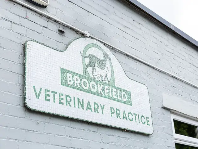 Brookfield Vets practice photo