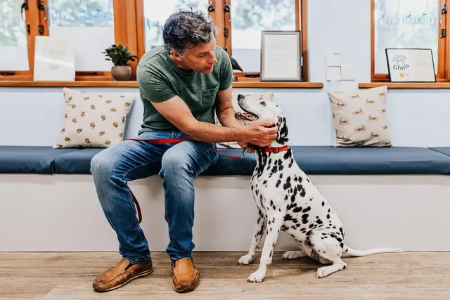 Chichester Vets, Independent vets you can trust