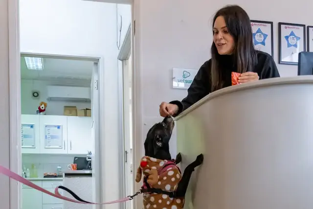 Priory Vets - Reigate practice photo