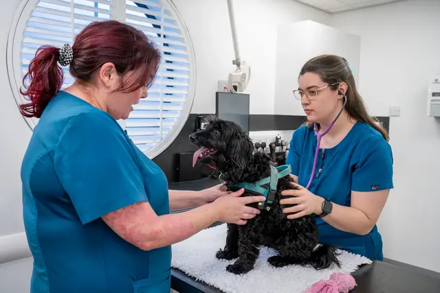 Willows Vet Group - Acorn Vet Centre (Web) 068