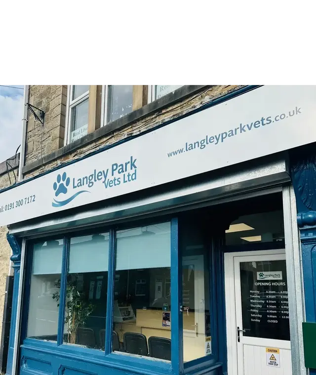 Langley Park Vets practice photo