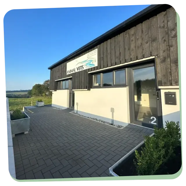 Animal Vets - Lelant practice photo 2