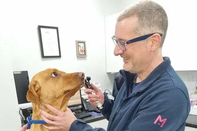 Medivet - Kenilworth (Feldon Veterinary Centre) practice photo 3
