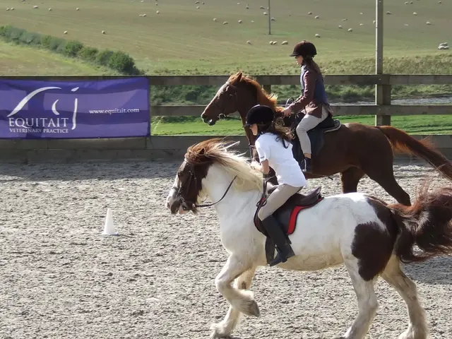 Equitait Veterinary Practice - Duns practice photo 2