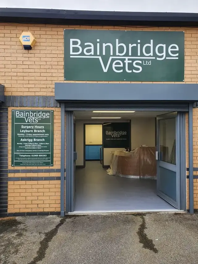 Bainbridge Vets - Leyburn practice photo
