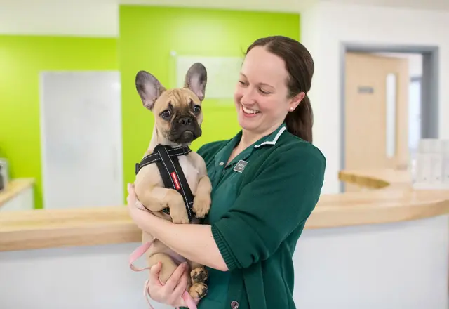 Ash Tree Veterinary Centre practice photo 2