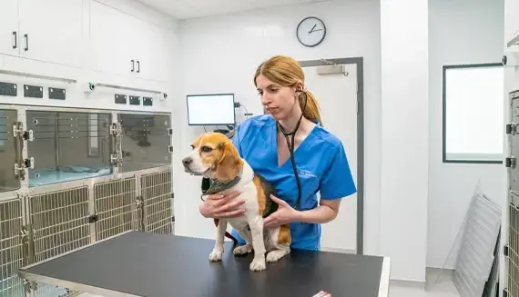 service medicine