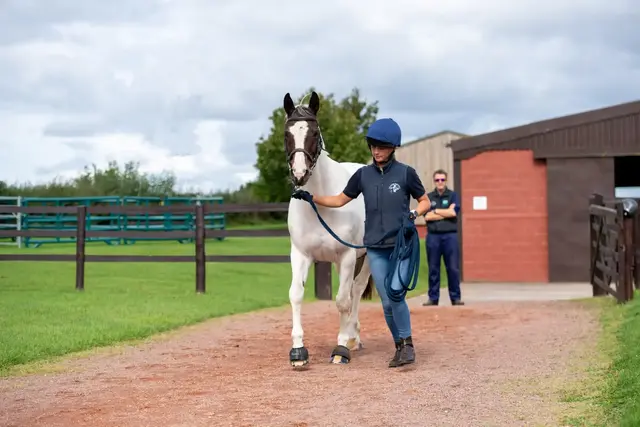 Three Counties Equine Hospital practice photo
