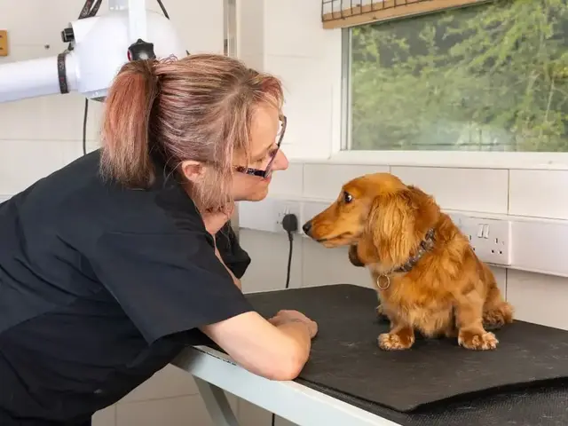 Drove Vets - Ridgeway Farm practice photo