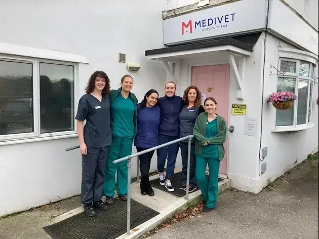 Medivet - Brockham practice photo