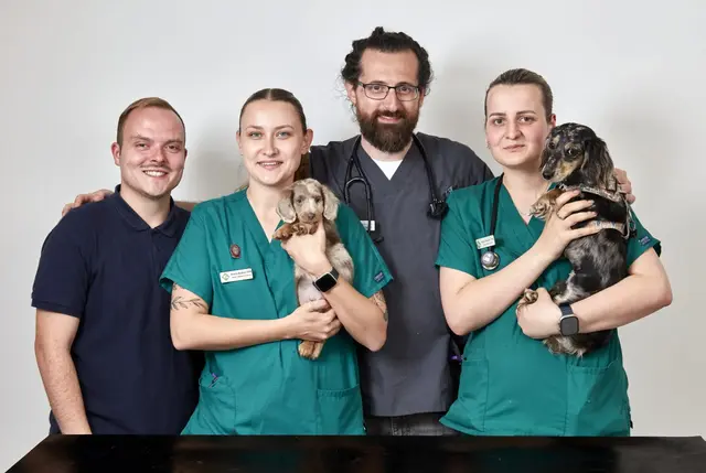 Briar House Veterinary Surgery practice photo