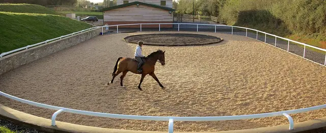 Langford Vets - Stables Equine Practice practice photo