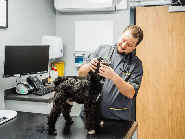 The Pet Vet - Bristol practice photo