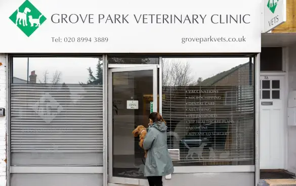Grove Park Vet Clinic